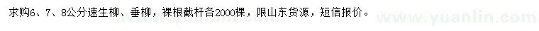 求購(gòu)6、7、8公分速生柳、垂柳