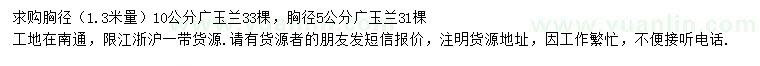 求購1.3米量10、15公分廣玉蘭