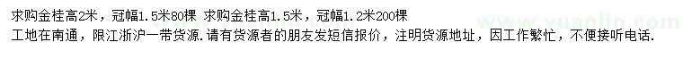 求購高1.5、2米金桂