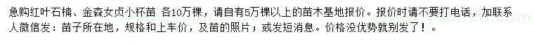 求購紅葉石楠、金森女貞小杯苗