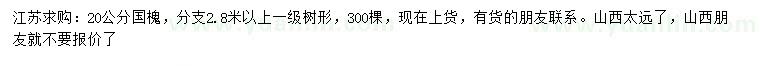求購20公分國槐