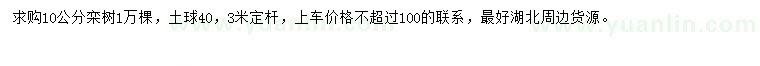 求購10公分欒樹