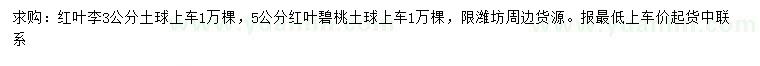 求購3公分紅葉李、5公分紅葉碧桃