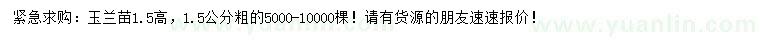 求購高1.5米玉蘭