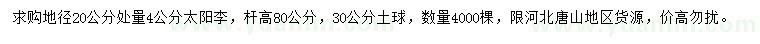 求購(gòu)20公分量4公分太陽(yáng)李