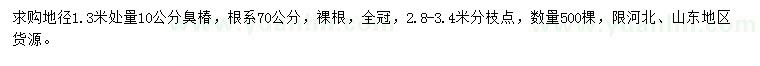 求購1.3米量10公分臭椿