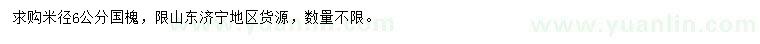 求購米徑6公分國槐