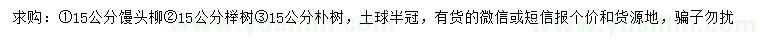 求購饅頭柳、櫸樹、樸樹