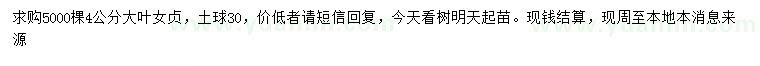 求購4公分大葉女貞