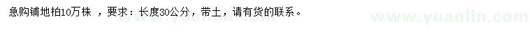 求購長度30公分鋪地柏