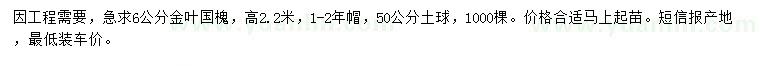 求購6公分金葉國槐