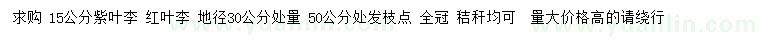 求購15公分紫葉李、紅葉李