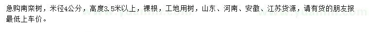 求購米徑4公分南欒