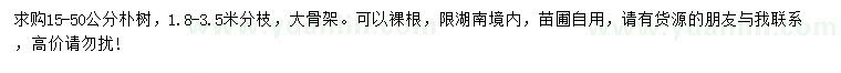 求購15-50公分樸樹(shù)