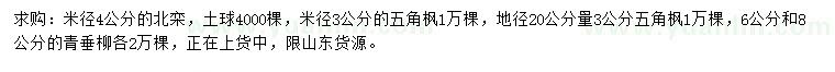 求購北欒、五角楓、青垂柳
