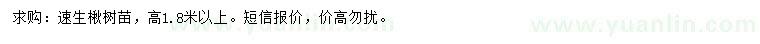 求購高1.8米以上速生楸樹