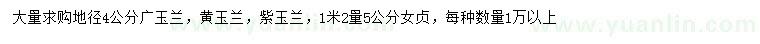 求購廣玉蘭、黃玉蘭、紫玉蘭等