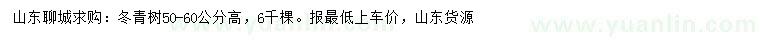 求購高50-60公分冬青樹