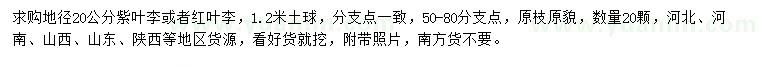 求購地徑20公分紫葉李或者紅葉李