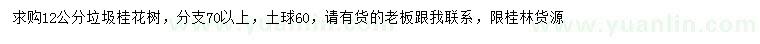 求購12公分桂花樹(shù)