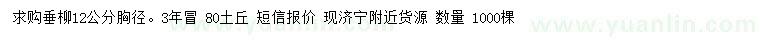 求購胸徑12公分垂柳