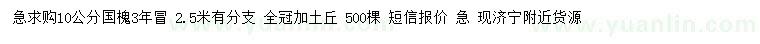 求購(gòu)10公分國(guó)槐