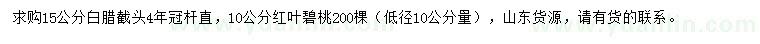 求購15公分白蠟、10公分紅葉碧桃