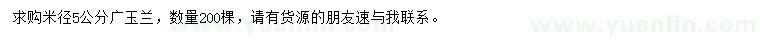 求購米徑5公分廣玉蘭