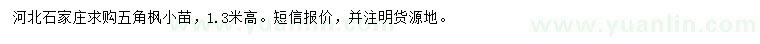 求購高1.3米五角楓