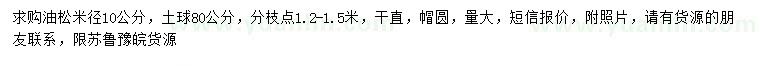 求購米徑10公分油松