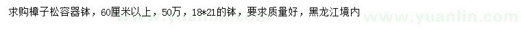 求購60公分以上樟子松