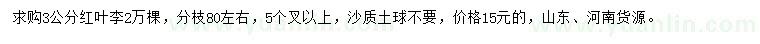 求購3公分紅葉李