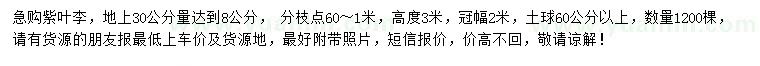求購30公分量8公分紫葉李