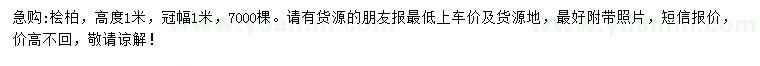 求購高1米檜柏