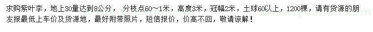 求購30量8公分紫葉李