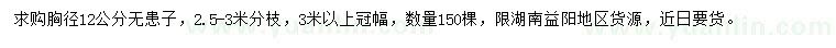 求購胸徑12公分無(wú)患子
