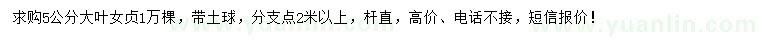 求購5公分大葉女貞