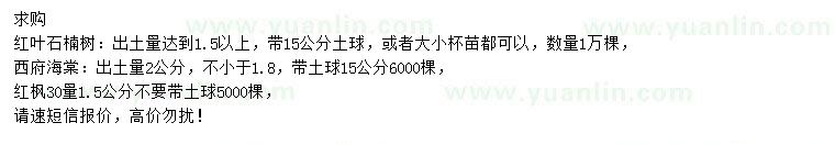 求購紅葉石楠樹、紅楓、西府海棠