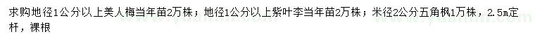求購(gòu)美人梅、紫葉李、五角楓
