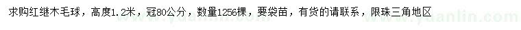 求購高1.2米紅繼木毛球