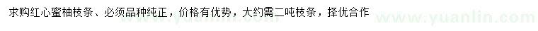 求購紅心蜜柚枝條