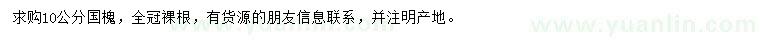 求購10公分國槐