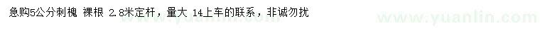 求購5公分刺槐
