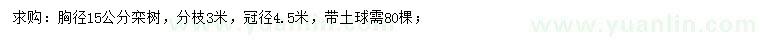 求購胸徑15公分欒樹(shù)