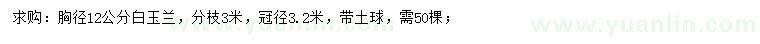 求購胸徑12公分白玉蘭
