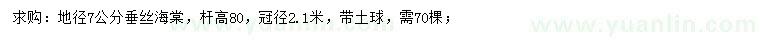求購地徑7公分垂絲海棠
