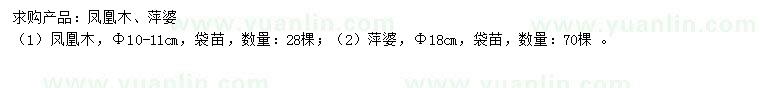 求購10-11公分?zhù)P凰木、18公分萍婆