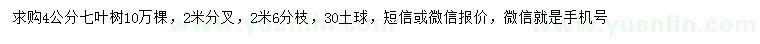求購4公分七葉樹