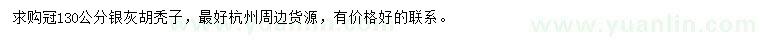 求購冠130公分銀灰胡禿子