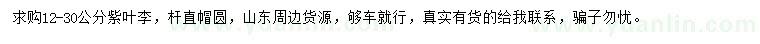 求購12-30公分紫葉李